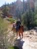 Horseback Riding in Red Canyon