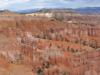 Bryce Canyon