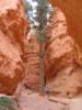 Bryce Canyon