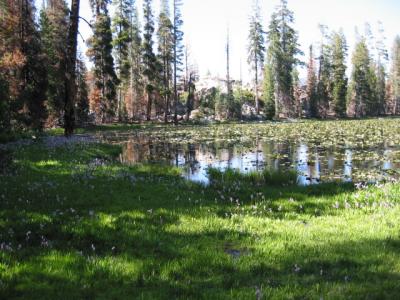 Lake we came across during the hike